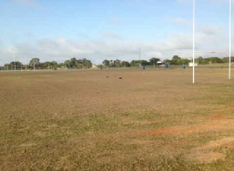 BOBCAT HIRE REDCLIFFE NORTH BRISBANE